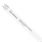 Ledvance LED Rör T8 Superior (EM/Mains) High Output 6.3W 1100lm - 865 Dagsljus | 60cm - Ersättare 18W