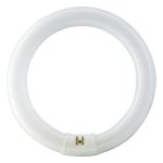 Osram T9 Lumilux Circline 32W - 840 Kallvit | 30cm