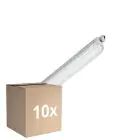 Flerpack 10x Philips LED Allmänbruksarmatur Vattentät CoreLine WT120C G3 13W 2000lm - 840 Kallvit | 60cm - Ersättare 2x18W
